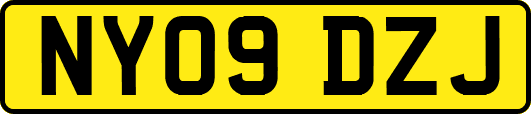 NY09DZJ