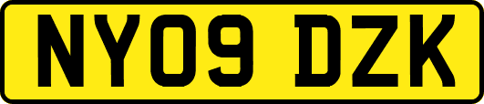 NY09DZK