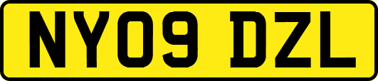 NY09DZL