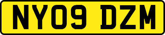 NY09DZM