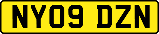 NY09DZN