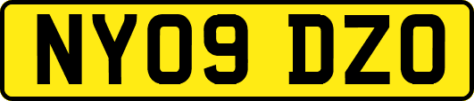 NY09DZO
