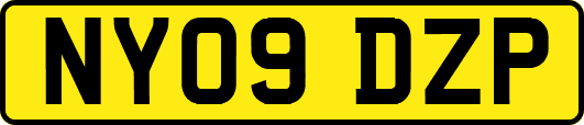 NY09DZP