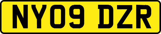 NY09DZR