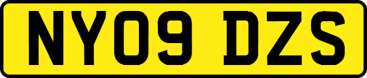 NY09DZS