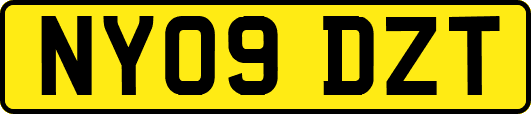 NY09DZT