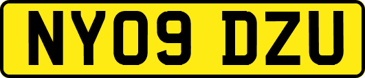 NY09DZU