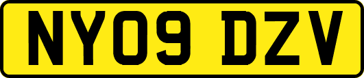 NY09DZV