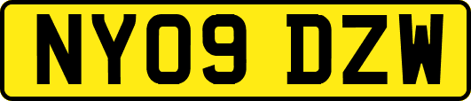 NY09DZW