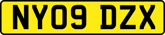 NY09DZX