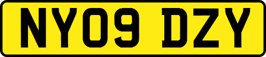 NY09DZY