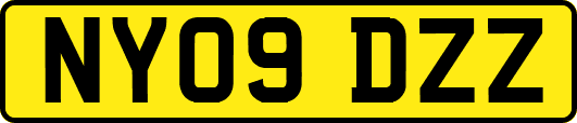 NY09DZZ