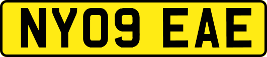 NY09EAE