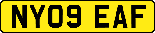 NY09EAF