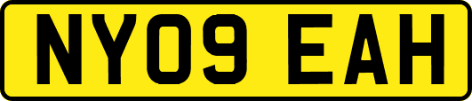 NY09EAH