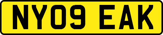 NY09EAK