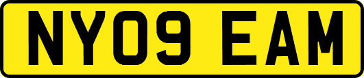 NY09EAM