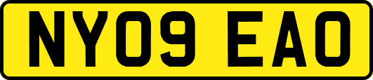 NY09EAO