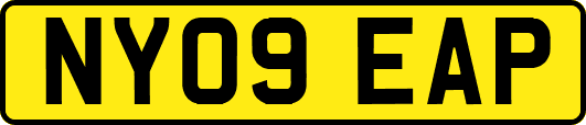 NY09EAP