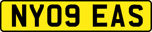 NY09EAS