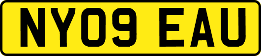 NY09EAU