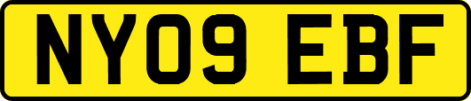 NY09EBF