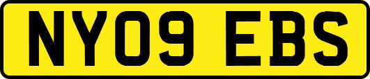 NY09EBS