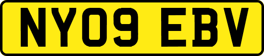 NY09EBV