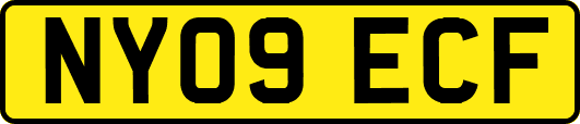 NY09ECF