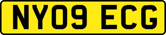 NY09ECG