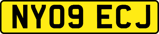 NY09ECJ