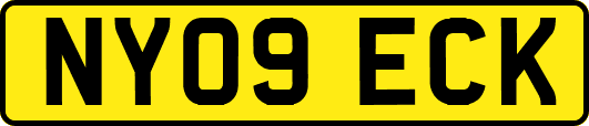 NY09ECK