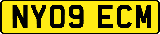 NY09ECM