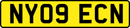 NY09ECN