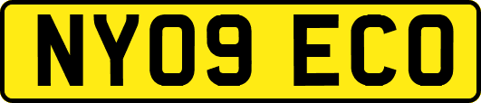 NY09ECO
