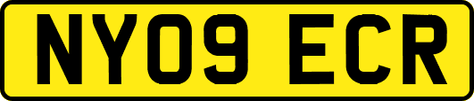 NY09ECR