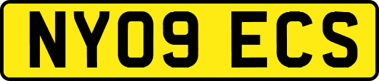 NY09ECS