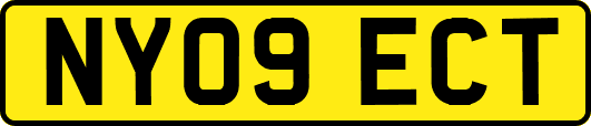 NY09ECT