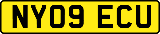 NY09ECU