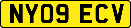 NY09ECV