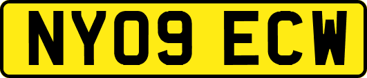 NY09ECW