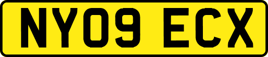 NY09ECX