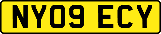 NY09ECY