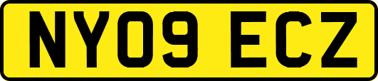NY09ECZ