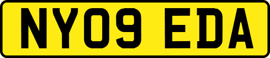 NY09EDA