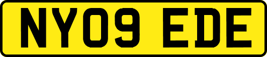 NY09EDE
