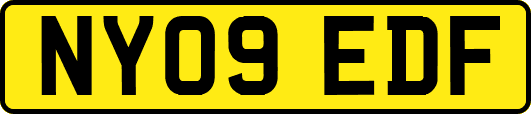 NY09EDF