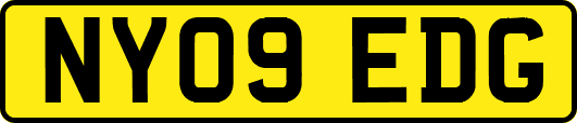 NY09EDG