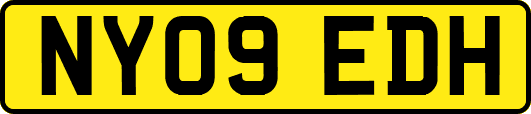 NY09EDH