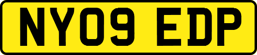 NY09EDP